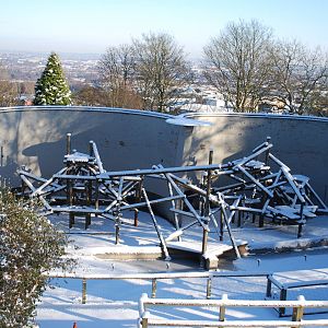 ORANGUTAN OUTDOOR AREA