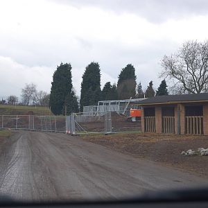 New Indian Rhino Complex