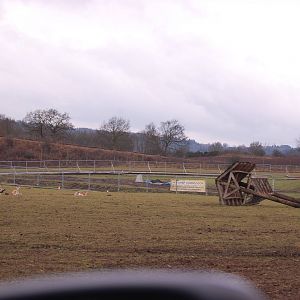 New Indian Rhino Complex