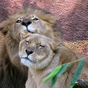 Valentines Day Feb. 14, 2010