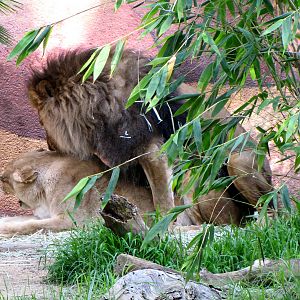 Valentines Day Feb. 14, 2010