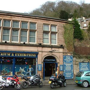 Matlock Bath Aquarium 14/02/10