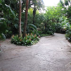 Discovery Cove - Entry Walkway