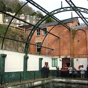 Koi Pool in Victorian Baths at Matlock Bath Aquarium 14/02/10