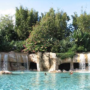 Discovery Cove - Serenity Bay