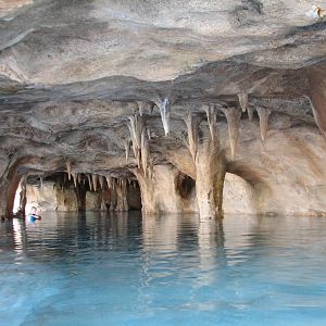 Discovery Cove - Wind-away River