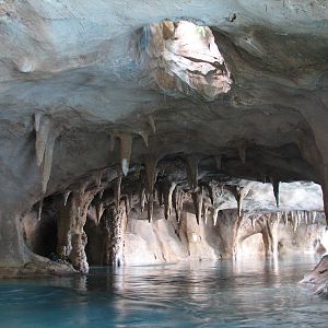 Discovery Cove - Wind-away River