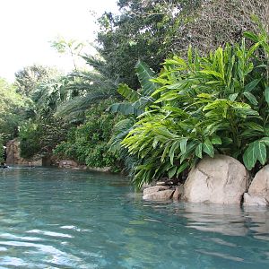 Discovery Cove - Wind-away River