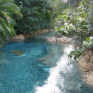 Discovery Cove - Wind-away River
