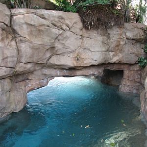 Discovery Cove - Explorers Aviary - Wind-away River Entrance