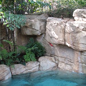 Discovery Cove - Explorers Aviary - Wind-away River