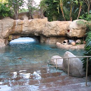 Discovery Cove - Explorers Aviary - Wind-away River Exit