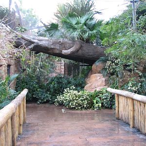 Discovery Cove - Explorers Aviary