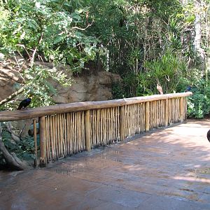 Discovery Cove - Explorers Aviary