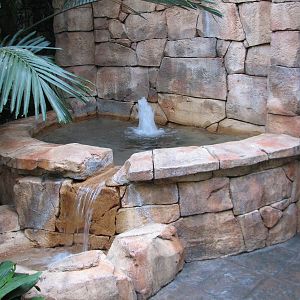 Discovery Cove - Explorers Aviary