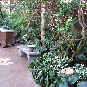 Discovery Cove - Explorers Aviary