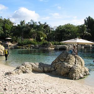 Discovery Cove - Tropical Reef - Entry