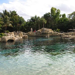 Discovery Cove - Tropical Reef