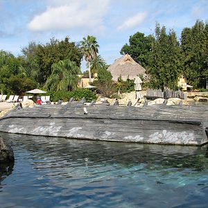 Discovery Cove - Tropical Reef - Shipwreck Barracuda Exhibit