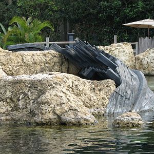 Discovery Cove - Tropical Reef - Shipwreck Barracuda Exhibit