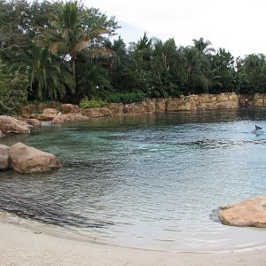 Discovery Cove - Dolphin Lagoon