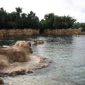 Discovery Cove - Dolphin Lagoon