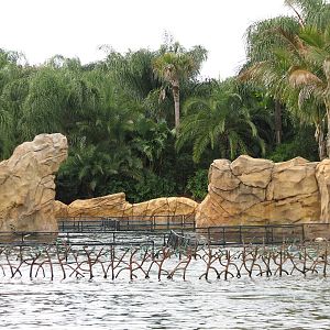 Discovery Cove - Dolphin Lagoon - Holding Area