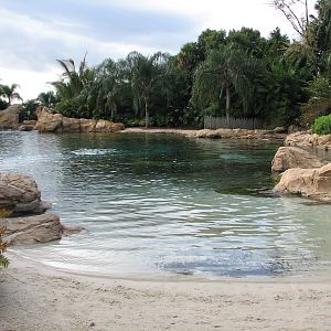 Discovery Cove - Dolphin Lagoon