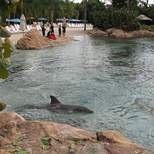 Discovery Cove - Dolphin Lagoon