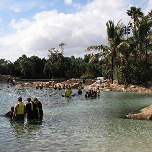 Discovery Cove - Dolphin Lagoon - Interaction Session