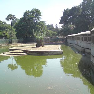 Hippo pool