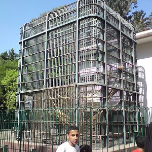Chimpanzee cage