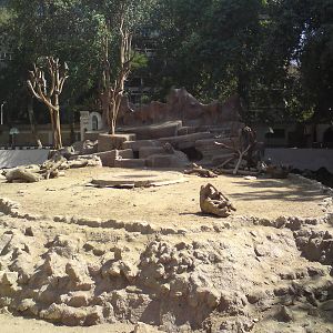Baboon mound