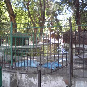 Patagonian sealion pools