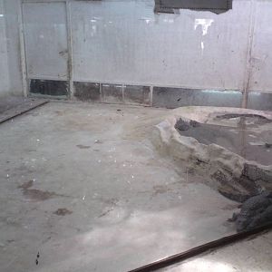 Crocodile enclosure
