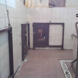 Inside the cat house