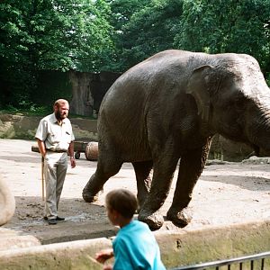 Tierpark Hagenbeck 1991 - Elephants and keeper