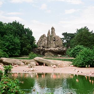 Tierpark Hagenbeck 1991 - The most famous Hagenbeck scene