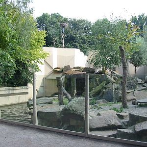 Allwetterzoo Munster 2004 - Syrian Brown Bear exhibit