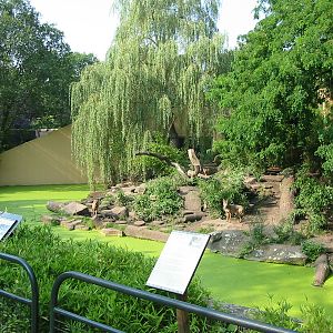 Allwetterzoo Munster 2004 - Wolf exhibit