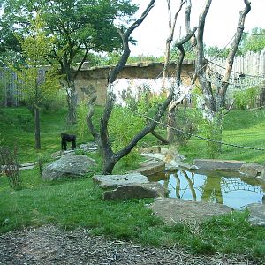 Allwetterzoo Munster 2004 - Gorilla exhibit