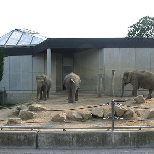 Allwetterzoo Munster 2004 - Elephant exhibit