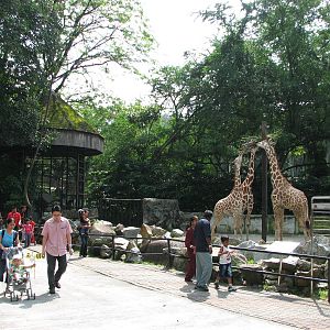 Zoo Negara Malaysia - Front of giraffe exhibit