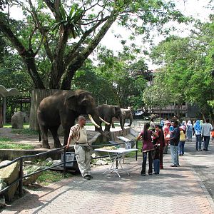Zoo Negara Malaysia - Looking from the giraffe exhibit and towards the elep