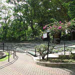 Zoo Negara Malaysia - Elephant show viewing deck