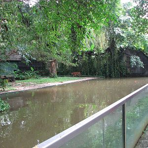 Zoo Negara Malaysia - Tiger exhibit