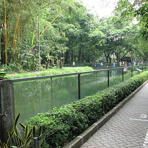 Zoo Negara Malaysia - Front of Sumatran Tiger exhibit