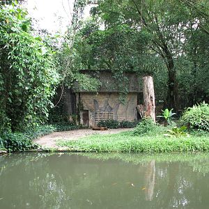 Zoo Negara Malaysia - Sumatran Tiger exhibit