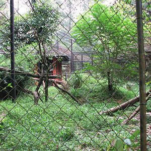Zoo Negara Malaysia - Puma enclosure