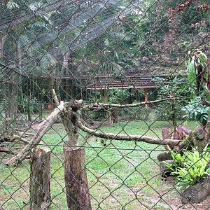 Zoo Negara Malaysia - Indian Leopard enclosure